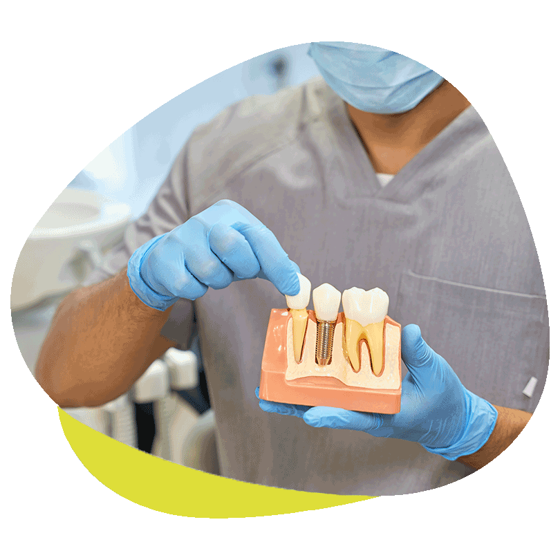 Ein Zahnarzt erklärt anhand eines Modells das Zahnimplantat.